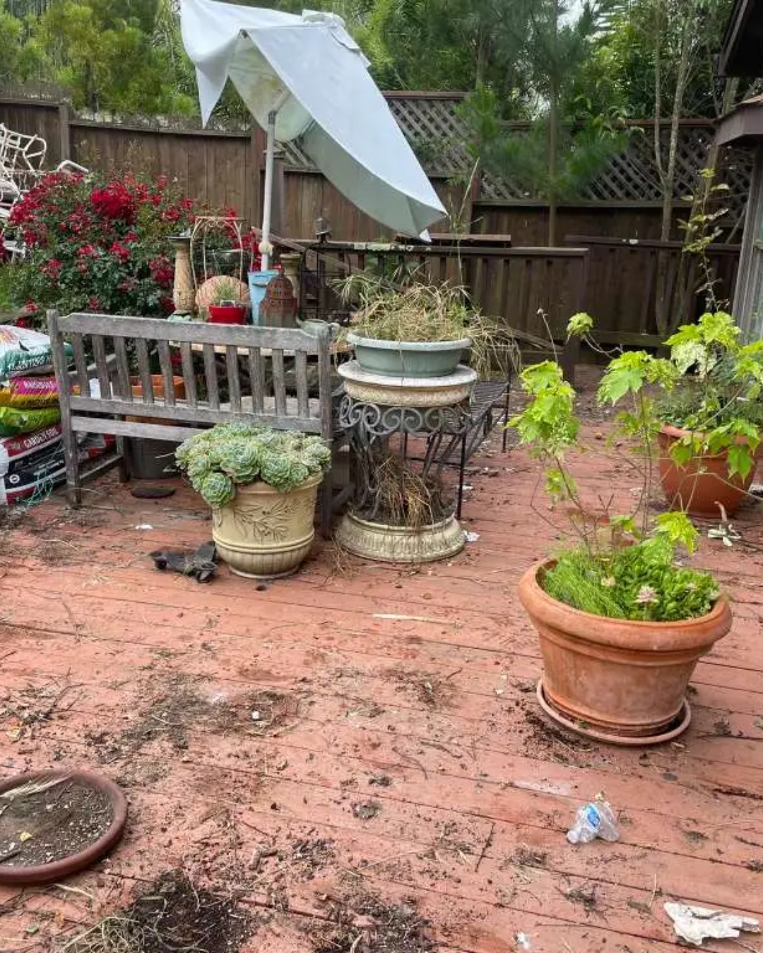 Junniors Construction BEFORE & AFTER (2)